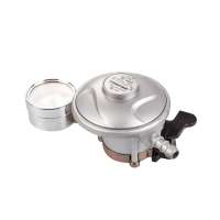 Cheap Price 20mm 22mm 27mm LPG Gas Regulator With Meter for 12.5kg Gas Cylinder